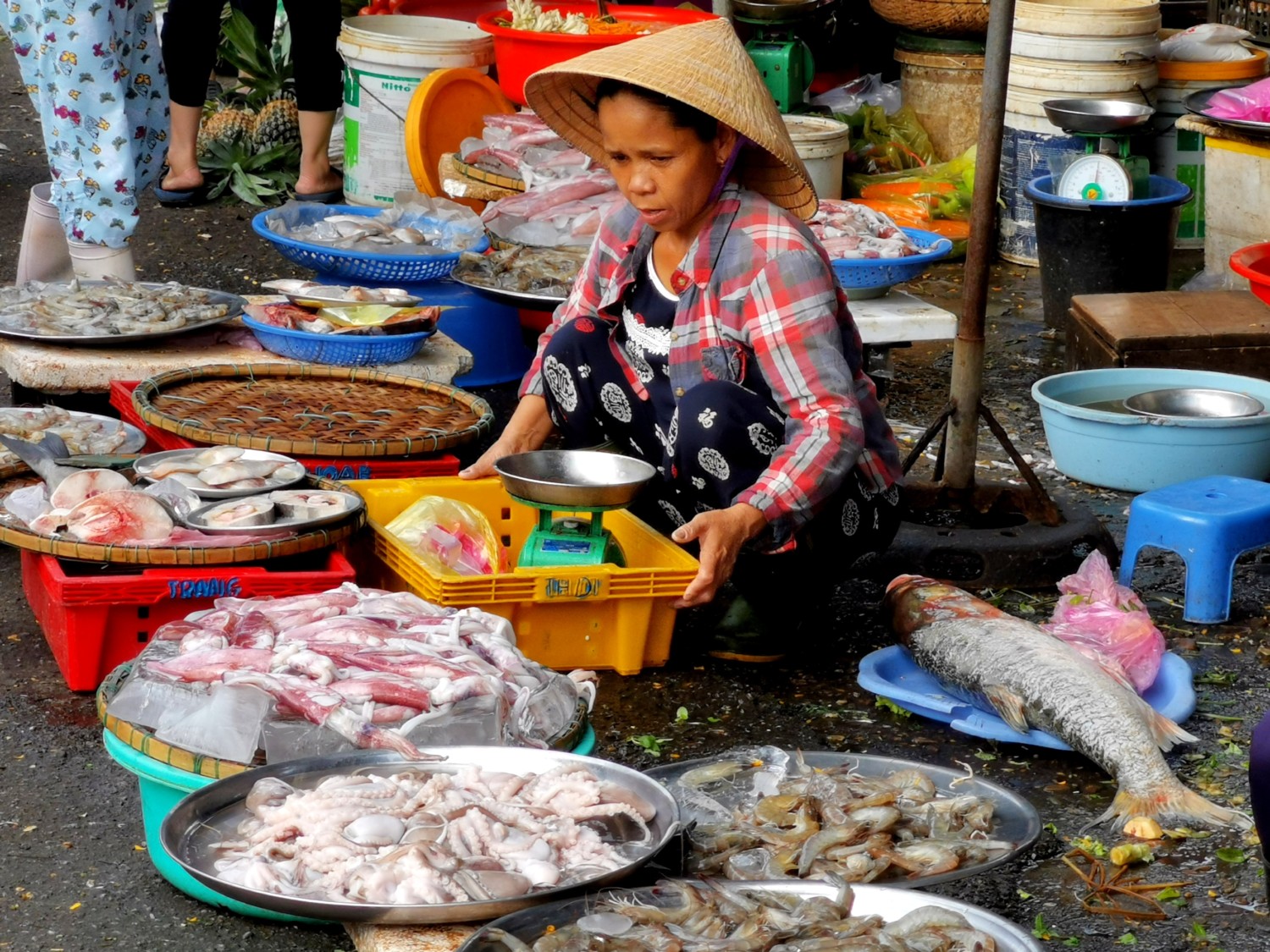 cosa vedere a hue vietnam cosa vedere a hue vietnam