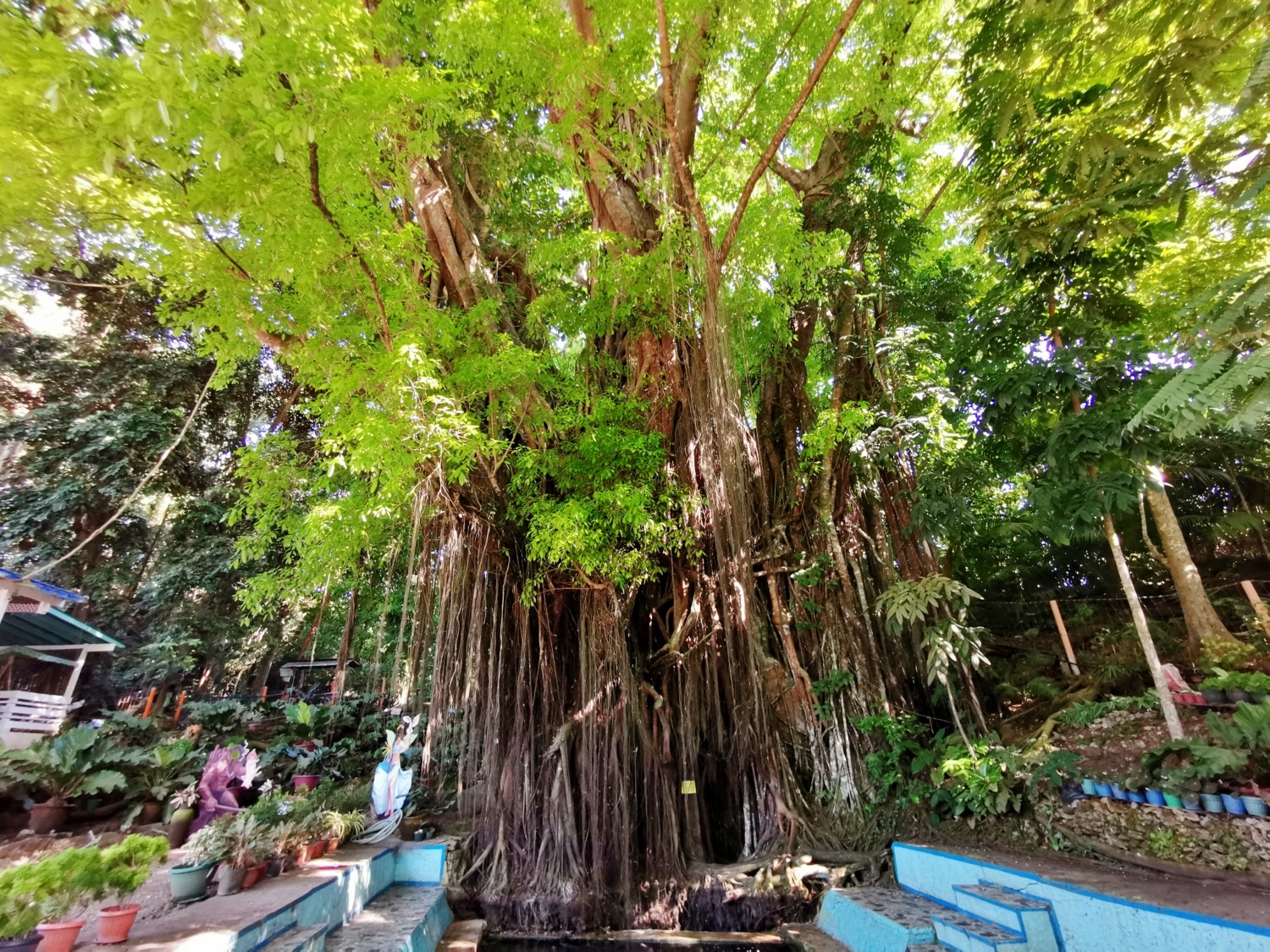 filippine isola di siquijor filippine isola di siquijor