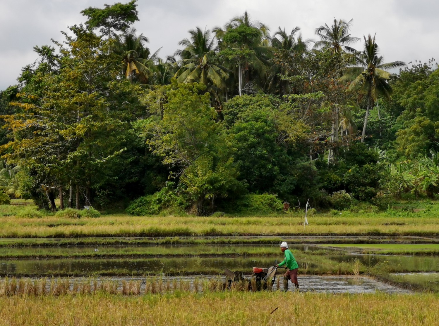 filippine isola di siquijor filippine isola di siquijor