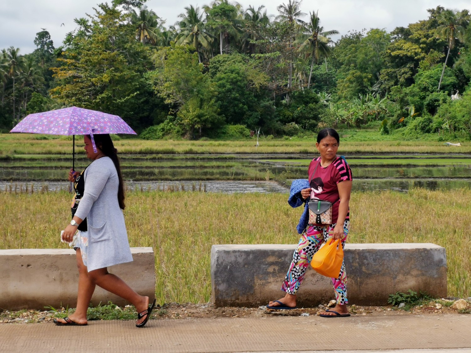 filippine isola di siquijor filippine isola di siquijor