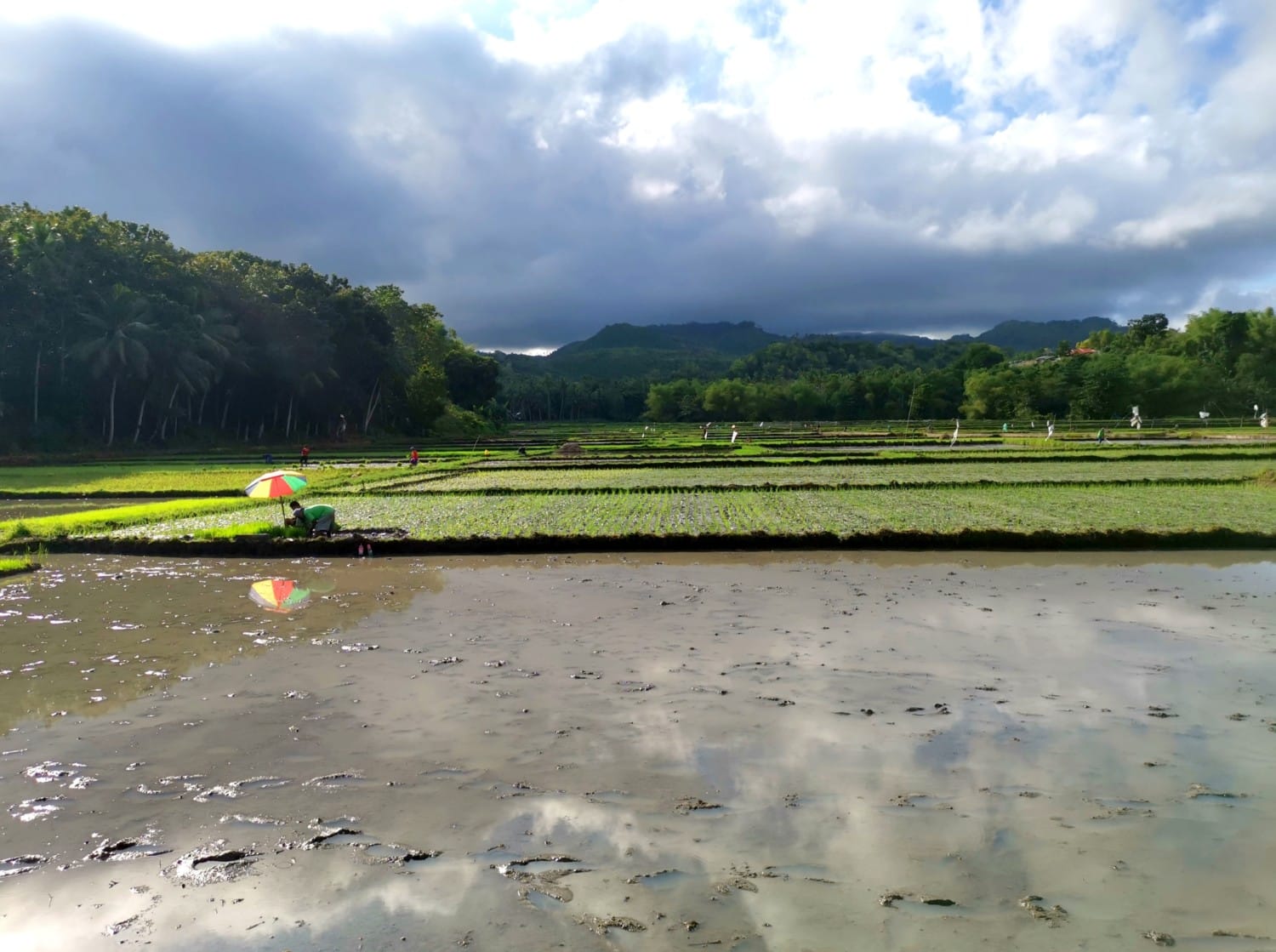filippine isola di siquijor filippine isola di siquijor