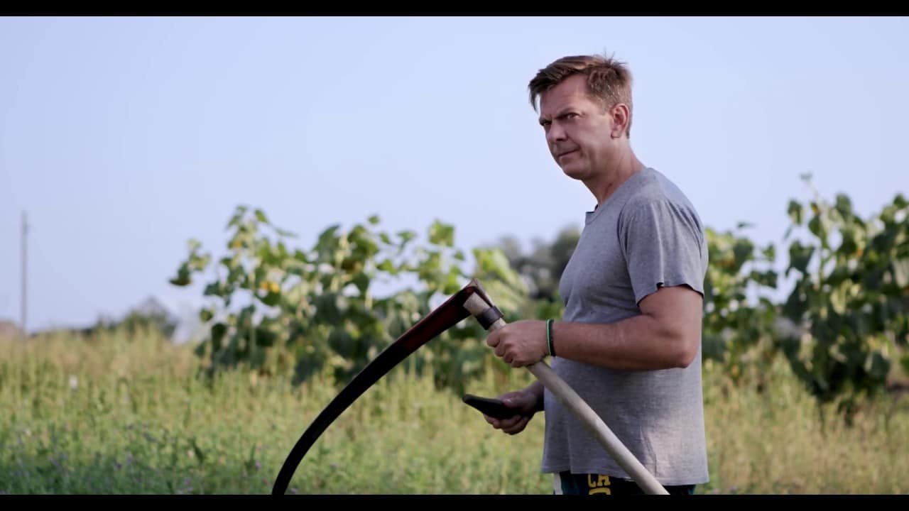 trieste film festival trieste film festival