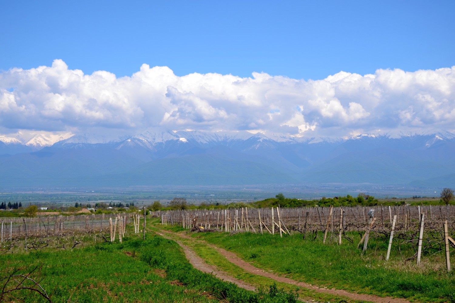 cosa vedere in georgia itinerario cosa vedere in georgia itinerario