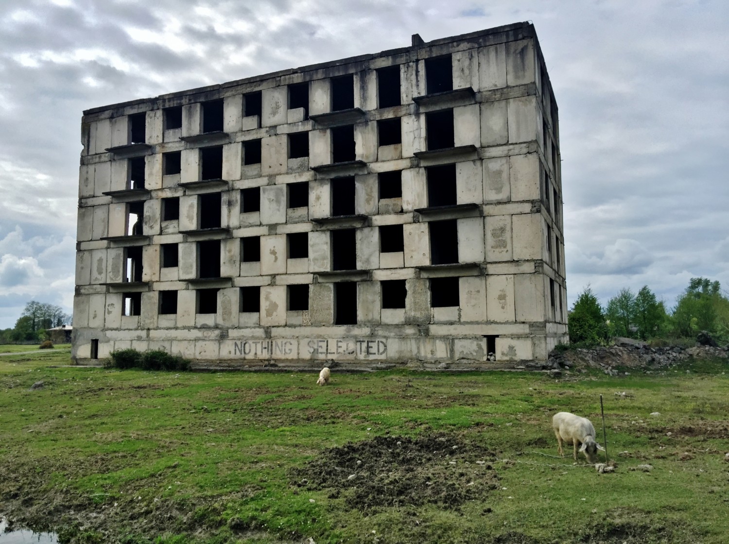 guidare in georgia guidare in georgia