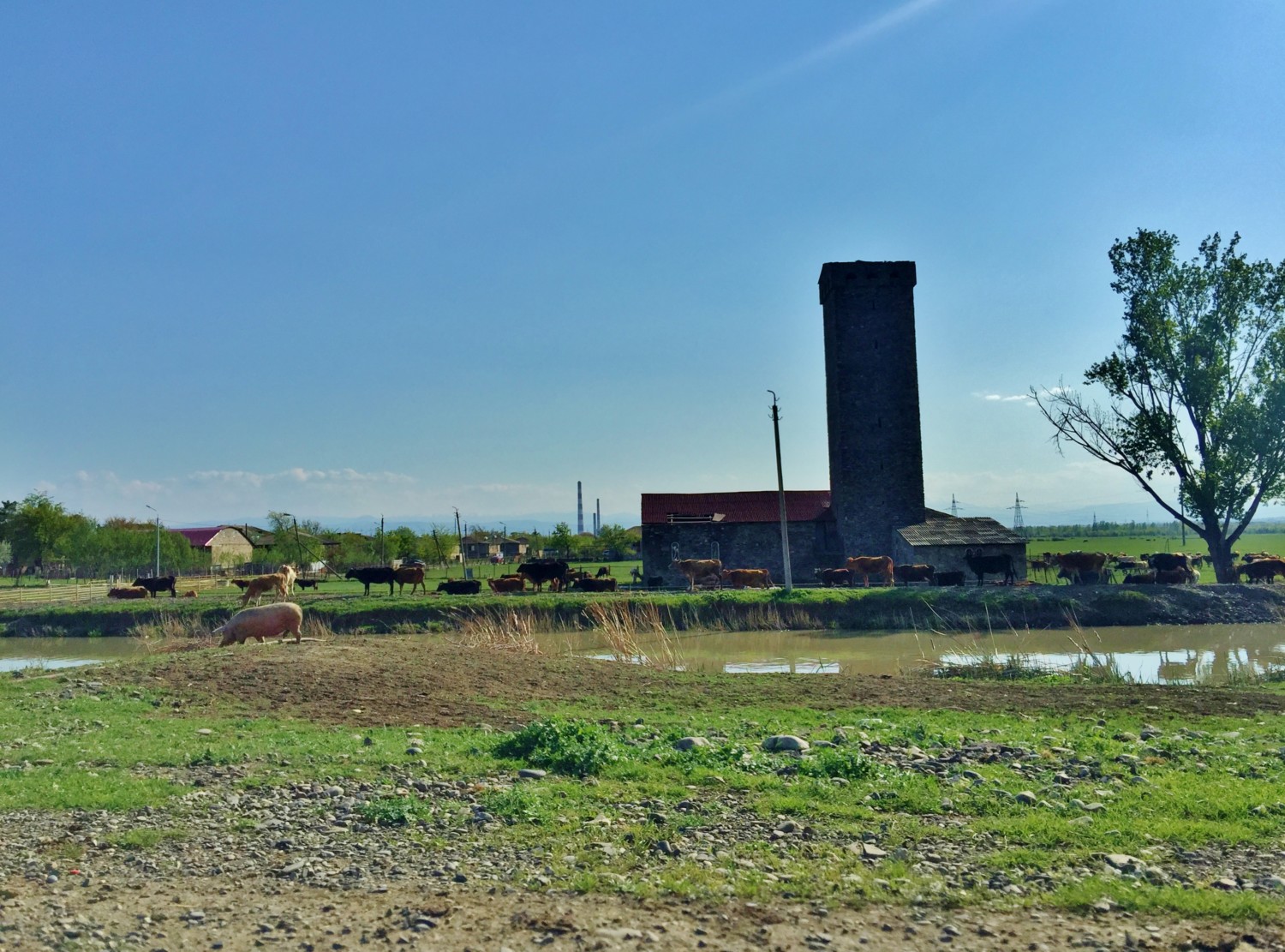 cosa vedere in georgia itinerario cosa vedere in georgia itinerario