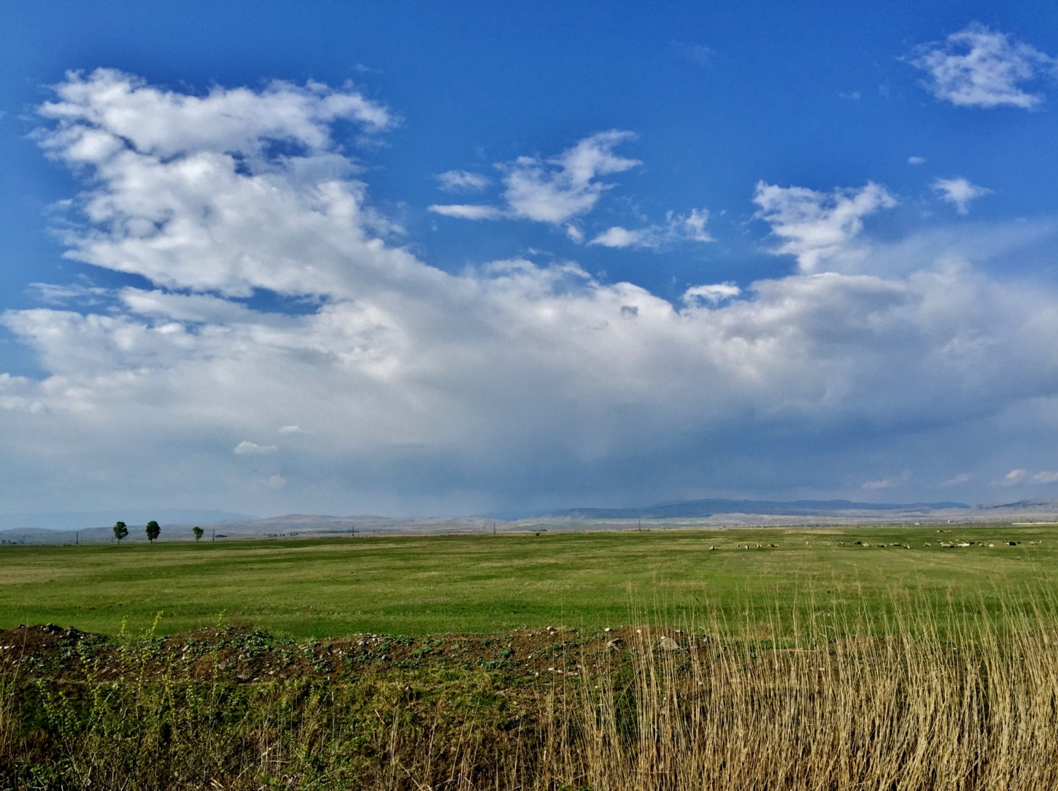 cosa vedere in georgia itinerario cosa vedere in georgia itinerario