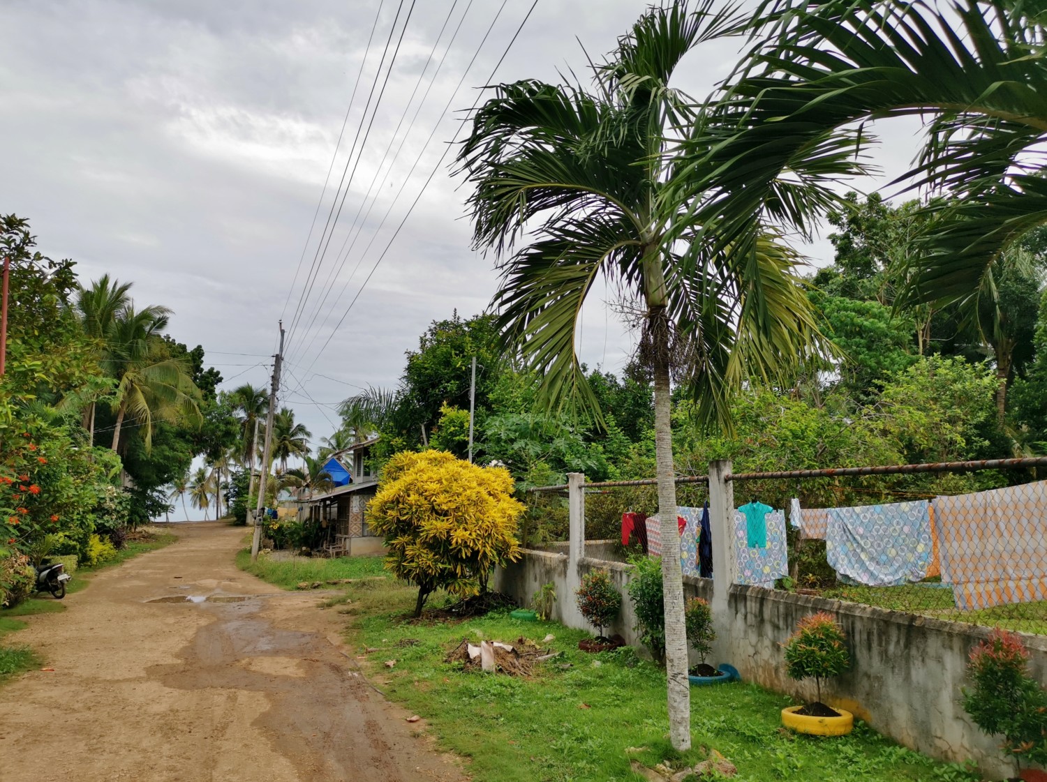 filippine panglao isola filippine panglao isola