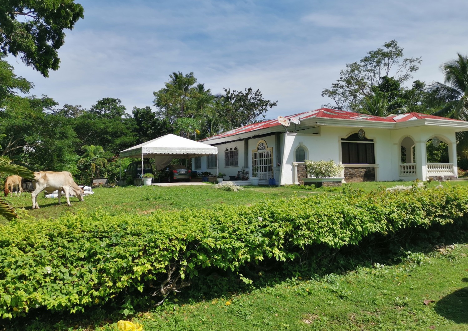 filippine panglao isola filippine panglao isola