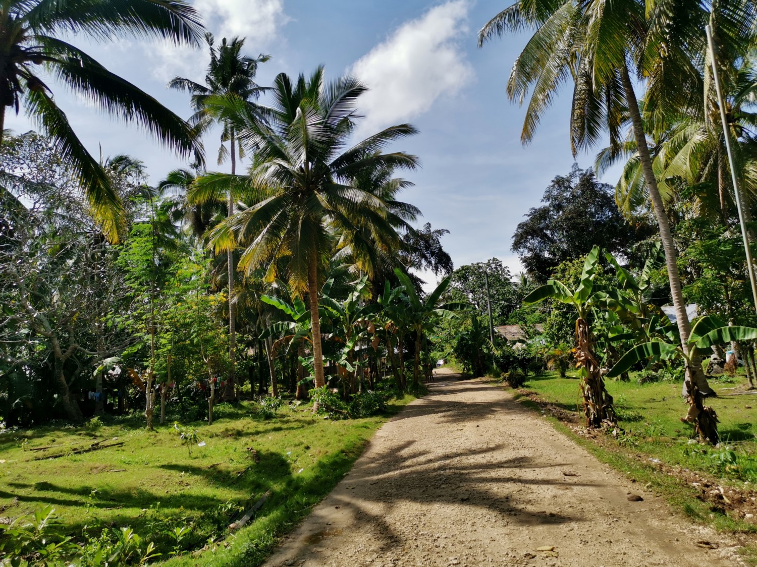 filippine panglao isola filippine panglao isola