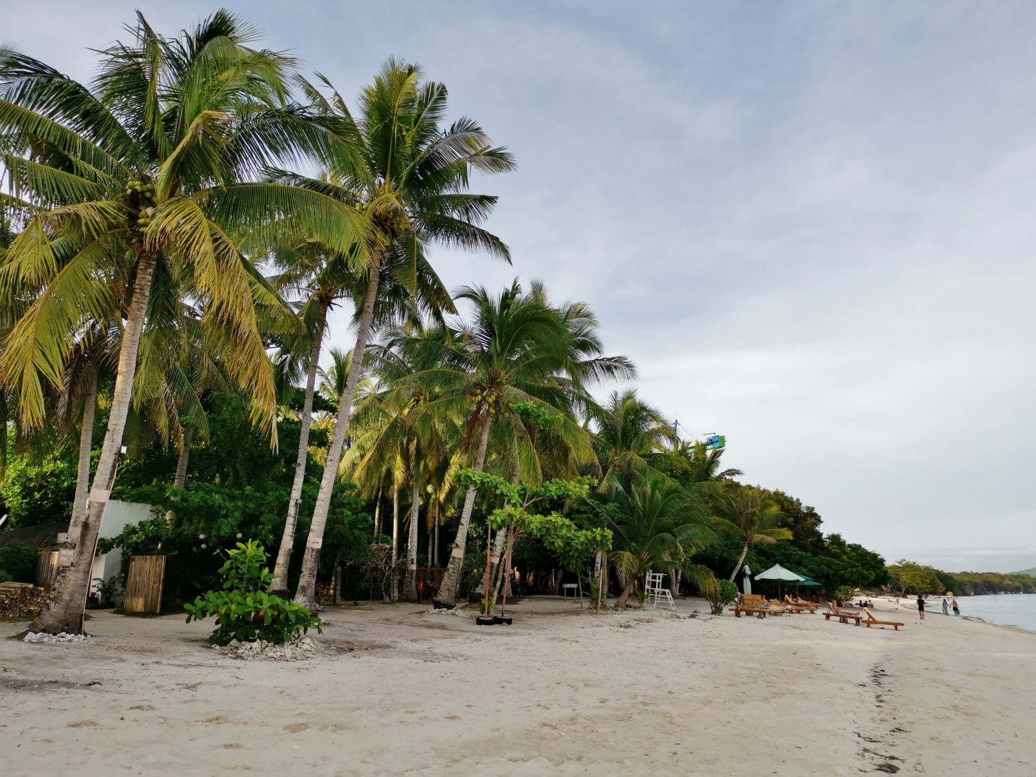 filippine panglao isola filippine panglao isola