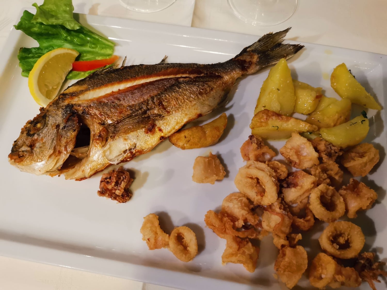 tartini pirano tartini pirano