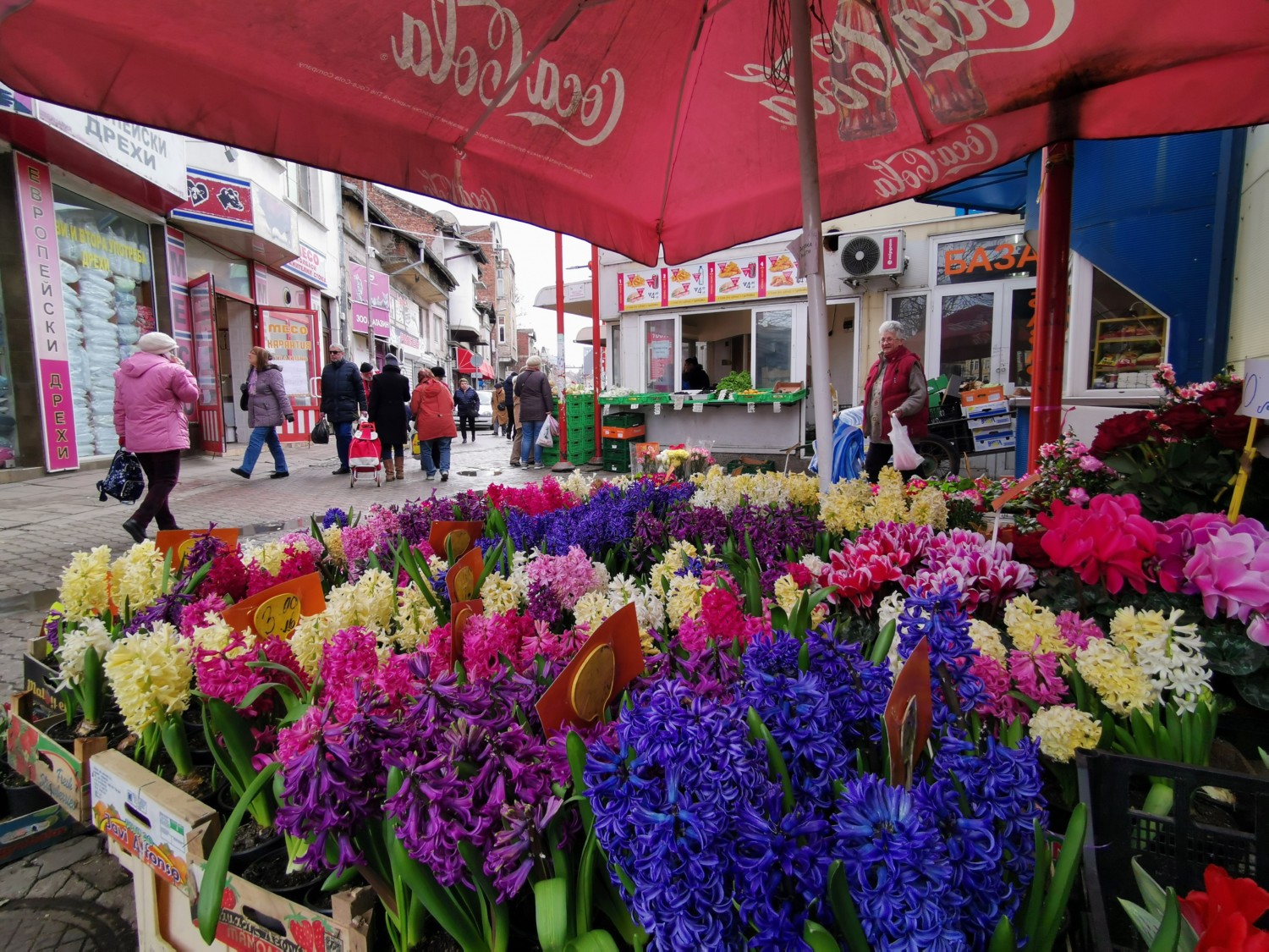 sofia capitale bulgaria sofia capitale bulgaria