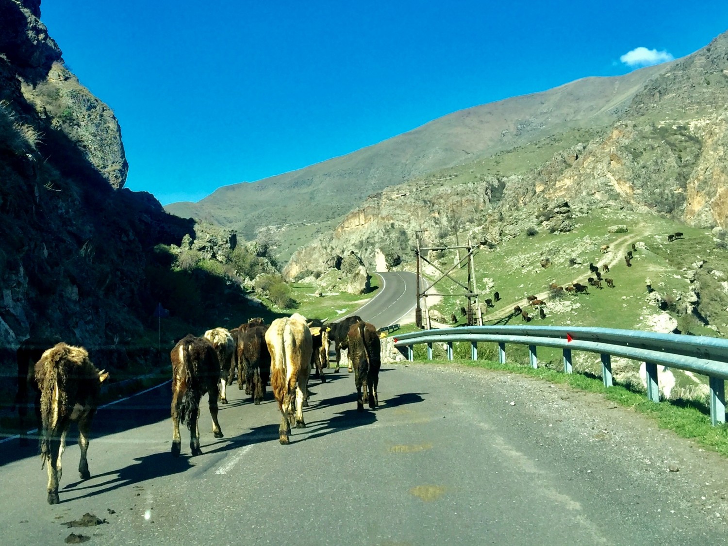guidare in georgia guidare in georgia