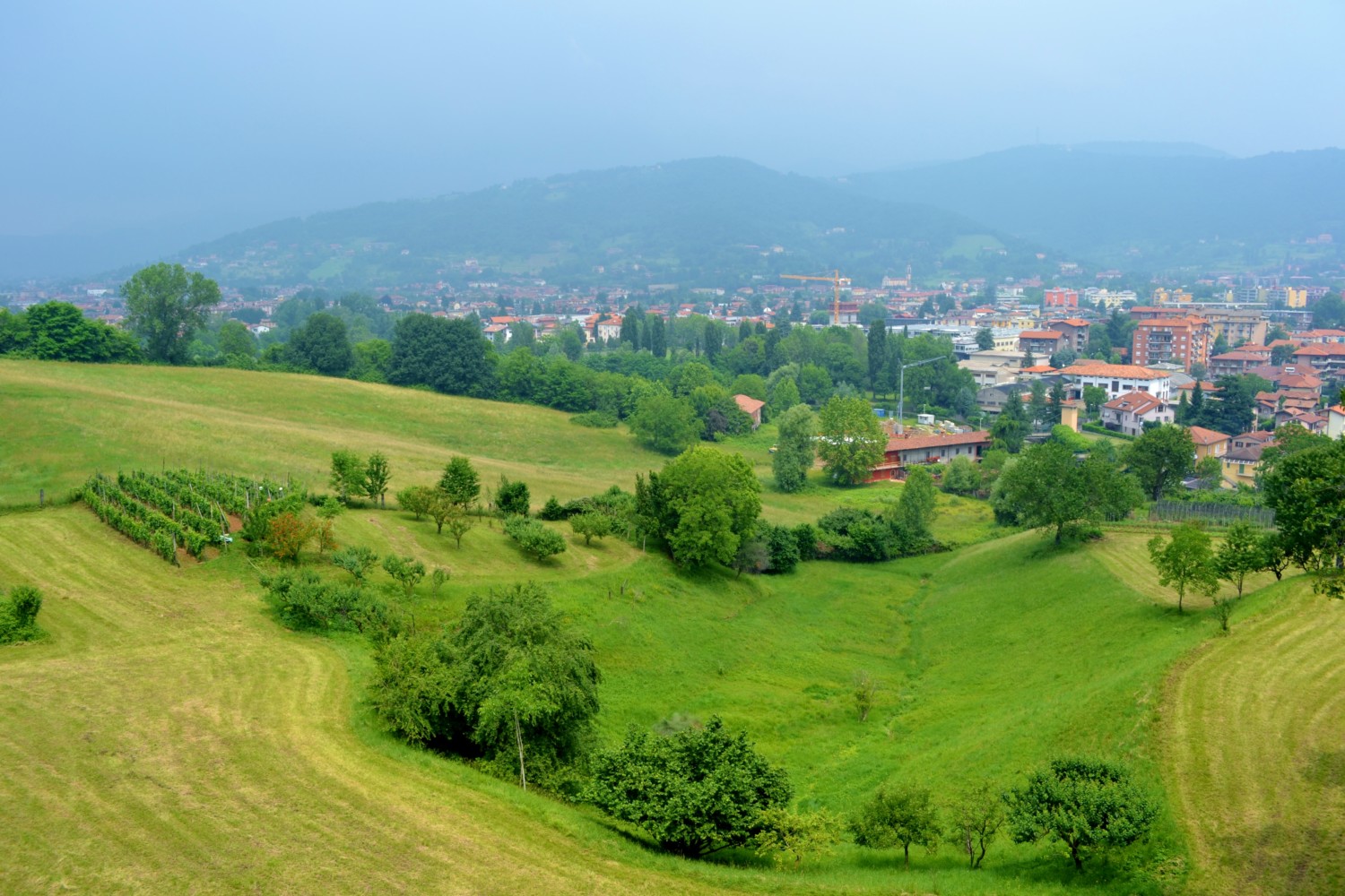 cosa vedere a bergamo cosa vedere a bergamo