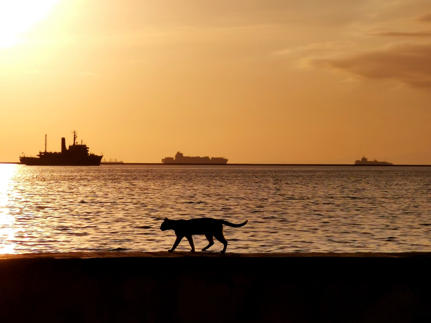 cosa vedere a manila cosa vedere a manila