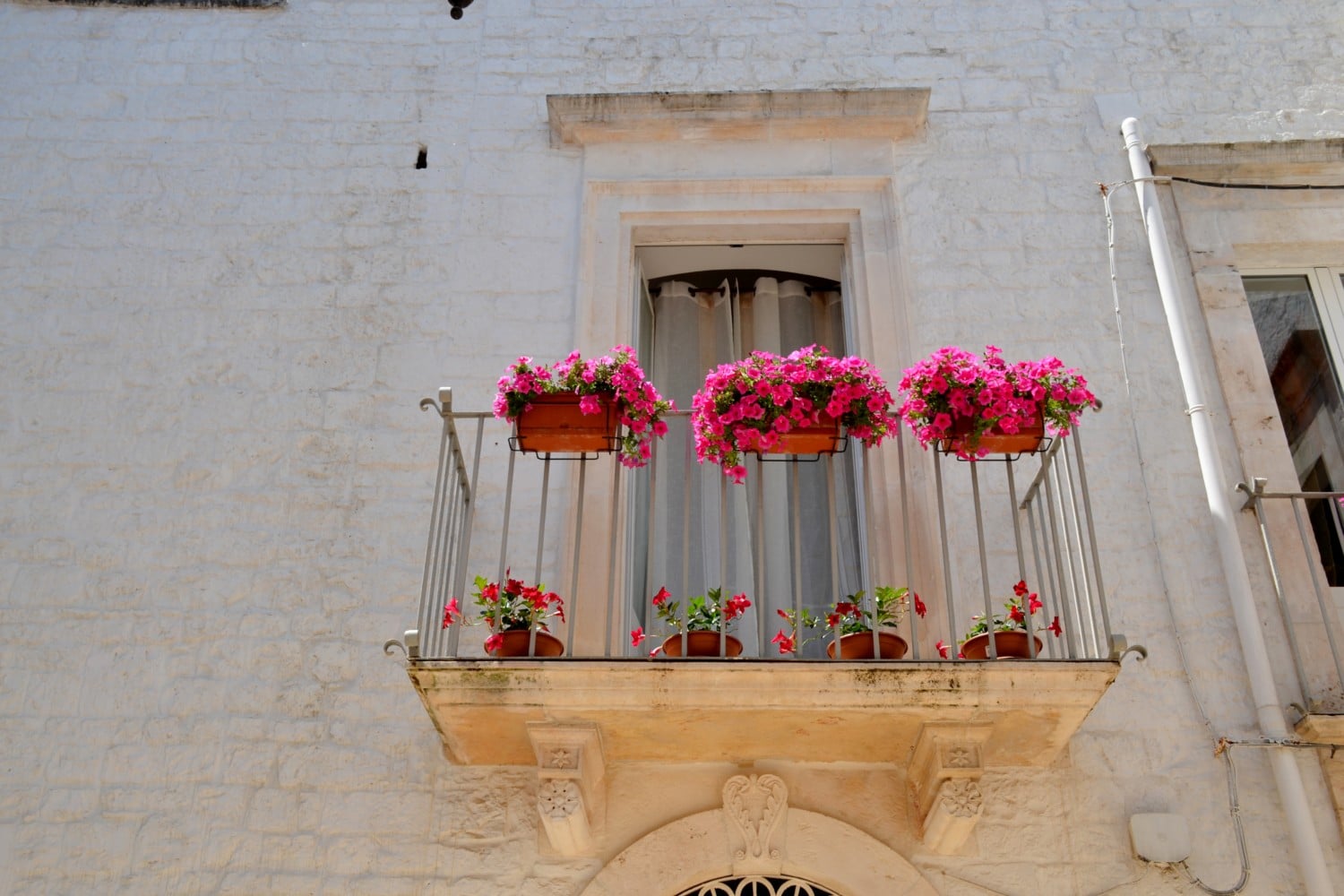 cosa vedere a locorotondo cosa vedere a locorotondo