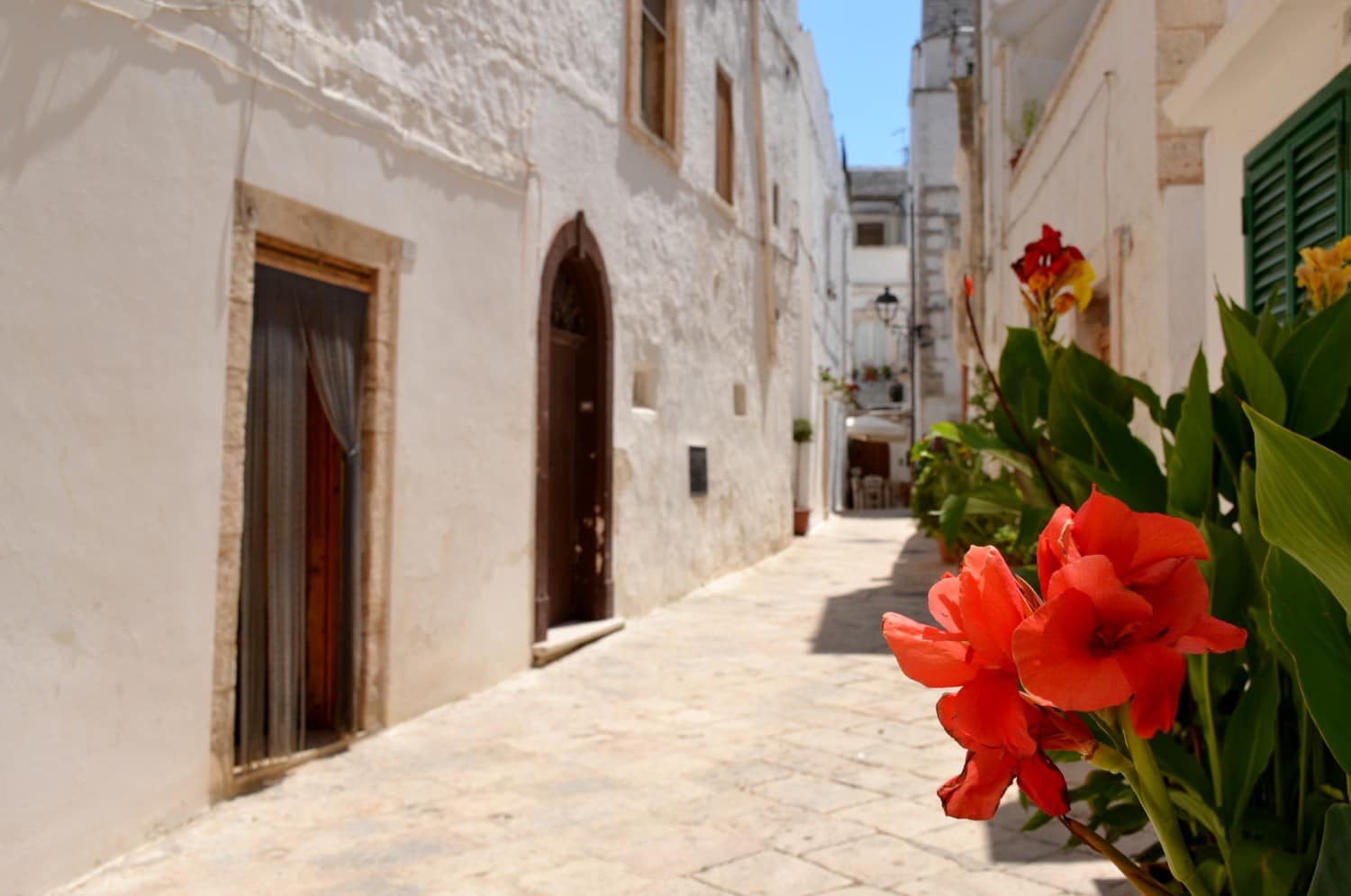 cosa vedere a locorotondo cosa vedere a locorotondo