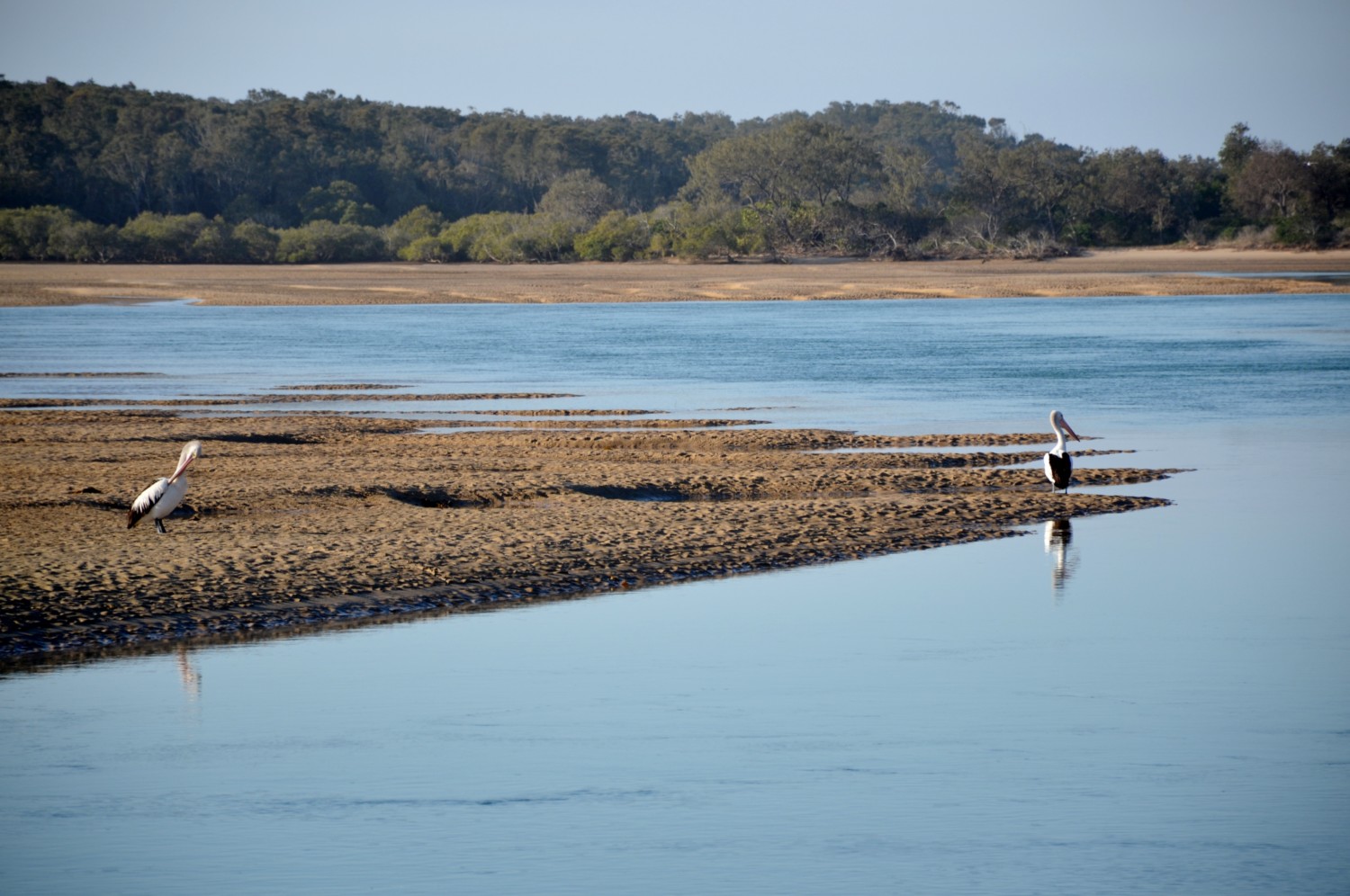 pacific coast da sydney a byron bay pacific coast da sydney a byron bay