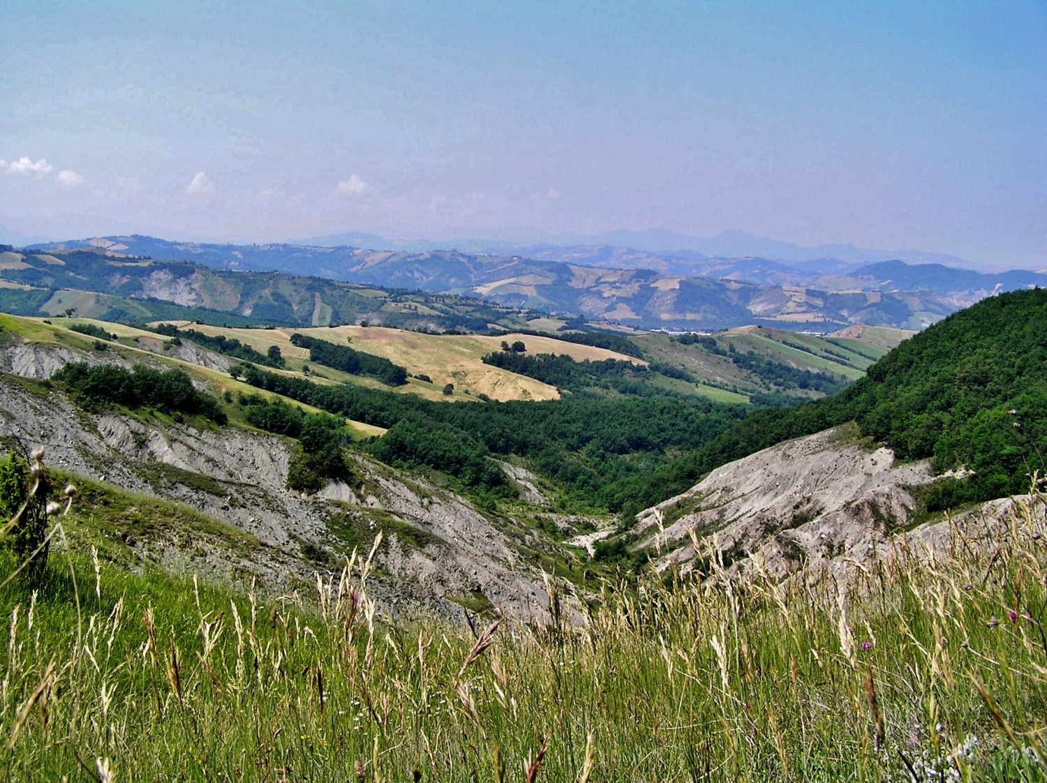 castelli matilde di canossa castelli matilde di canossa