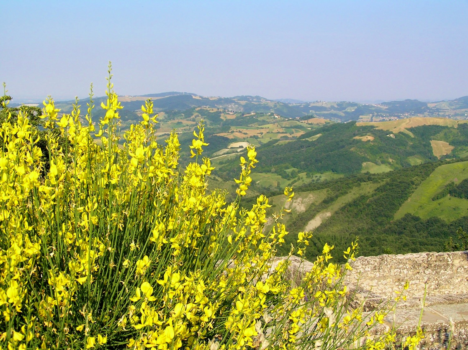 castelli matilde di canossa castelli matilde di canossa