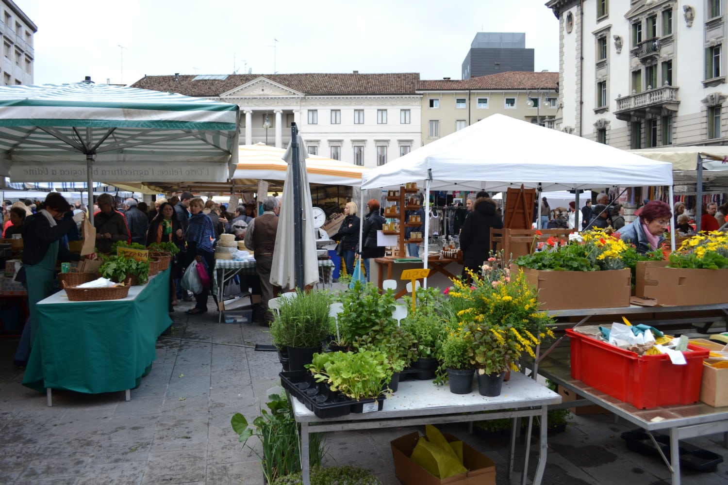 cosa vedere a udine cosa vedere a udine