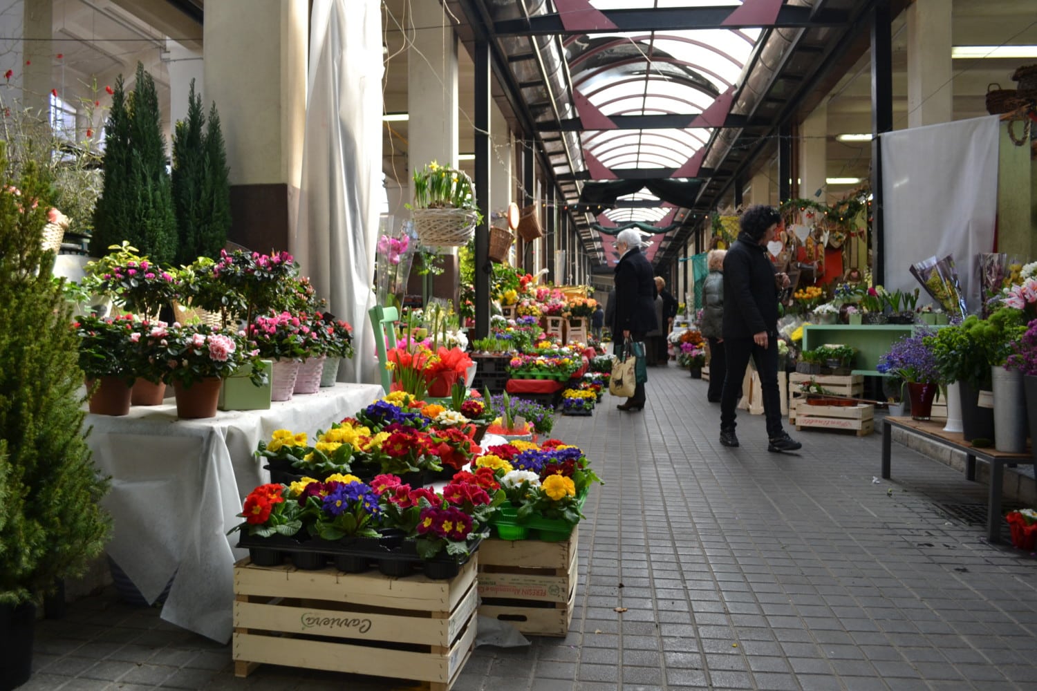 cosa vedere a gorizia cosa vedere a gorizia