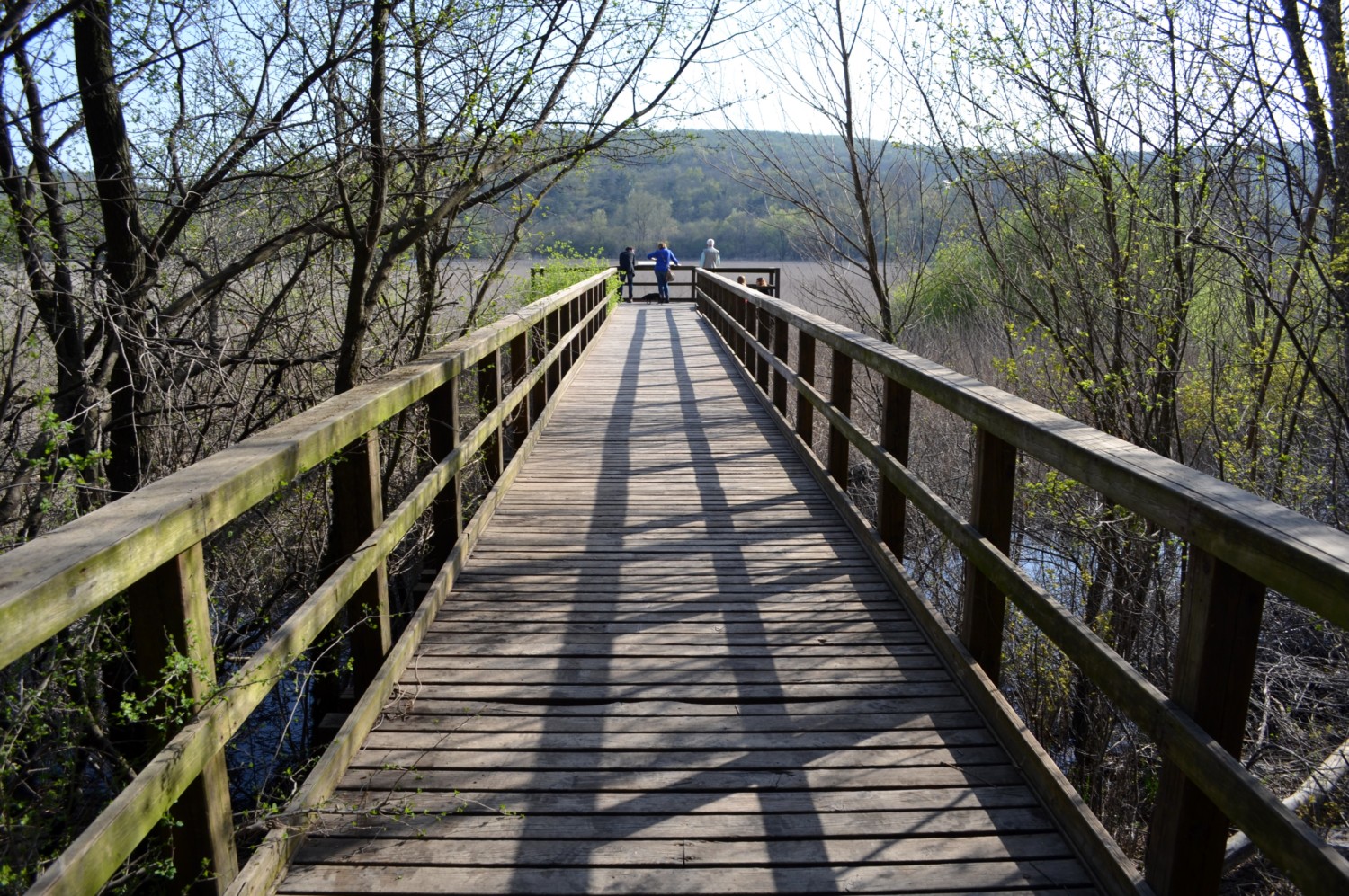laghi più belli del friuli venezia giulia laghi più belli del friuli venezia giulia