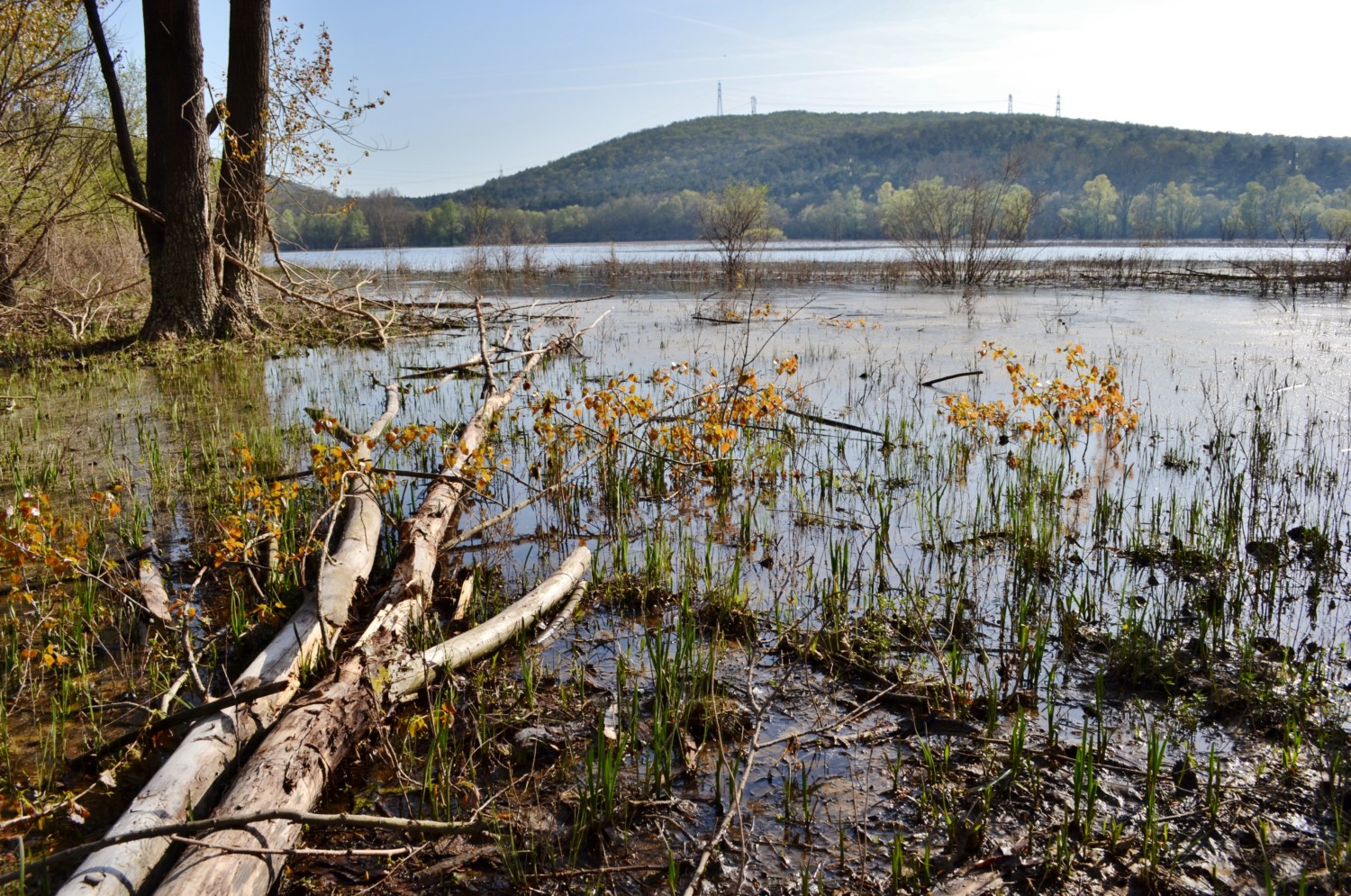 laghi più belli del friuli venezia giulia laghi più belli del friuli venezia giulia
