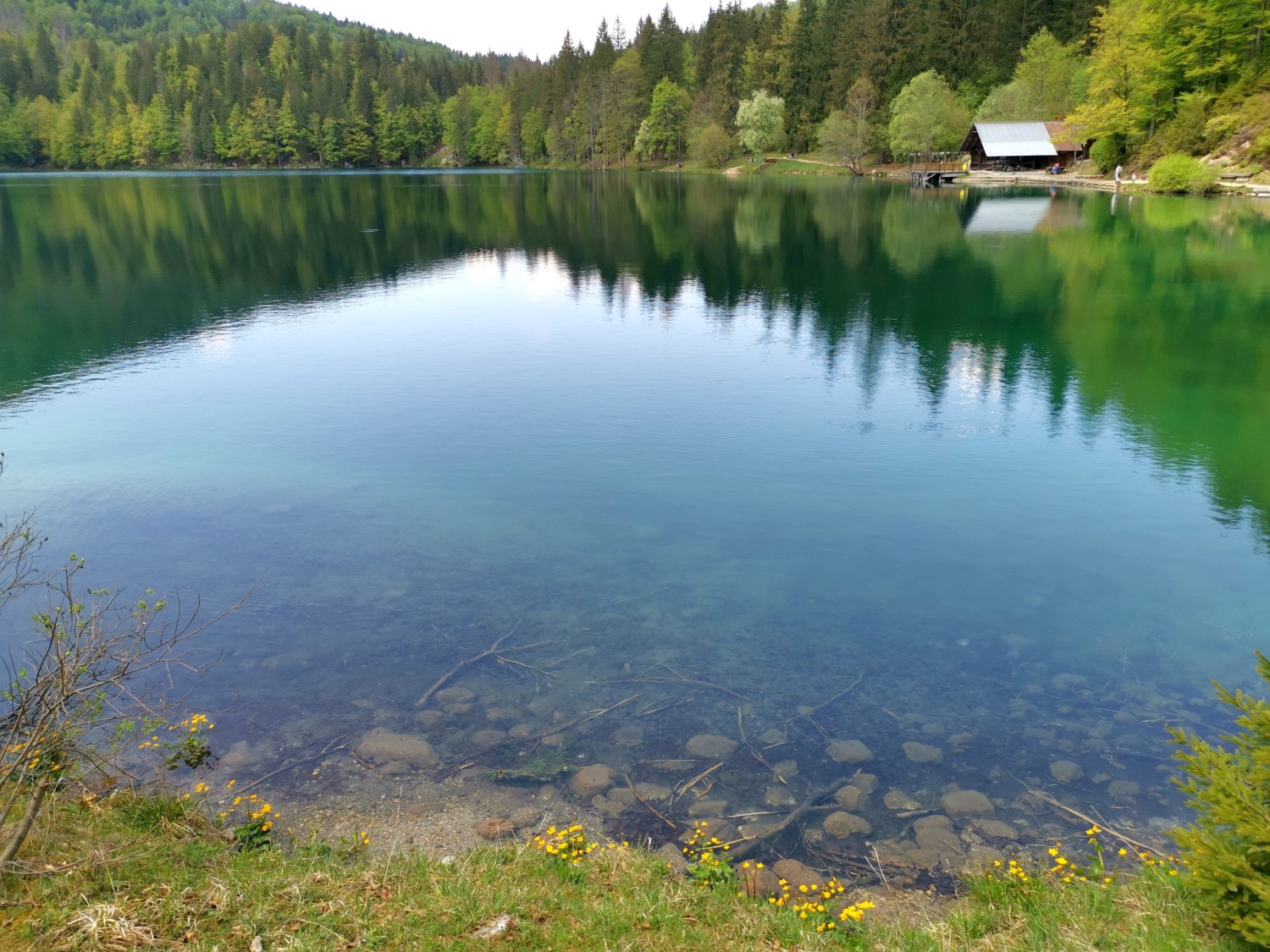 laghi più belli del friuli venezia giulia laghi più belli del friuli venezia giulia