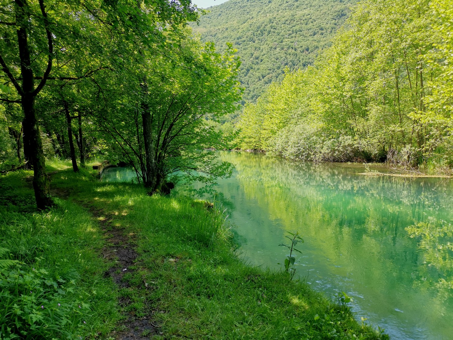 alto livenza polcenigo alto livenza polcenigo