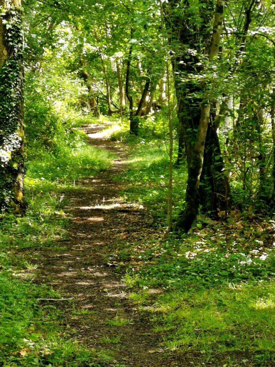 palu di livenza palu di livenza