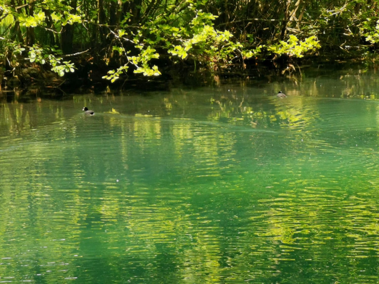 palu di livenza palu di livenza