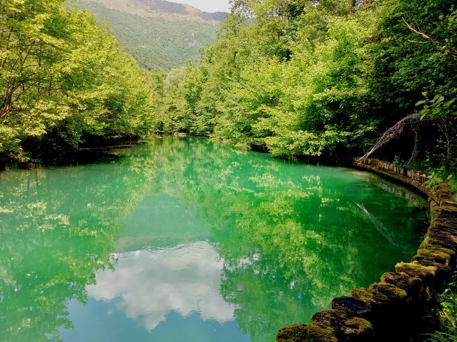 palù di livenza palù di livenza