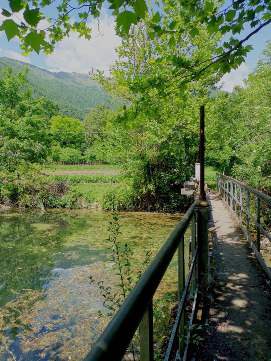 palù di livenza palù di livenza