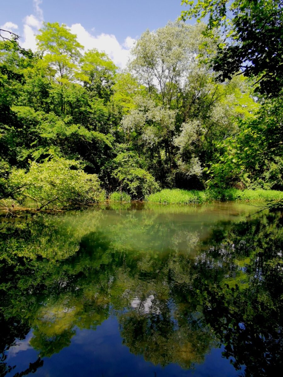 palu di livenza palu di livenza