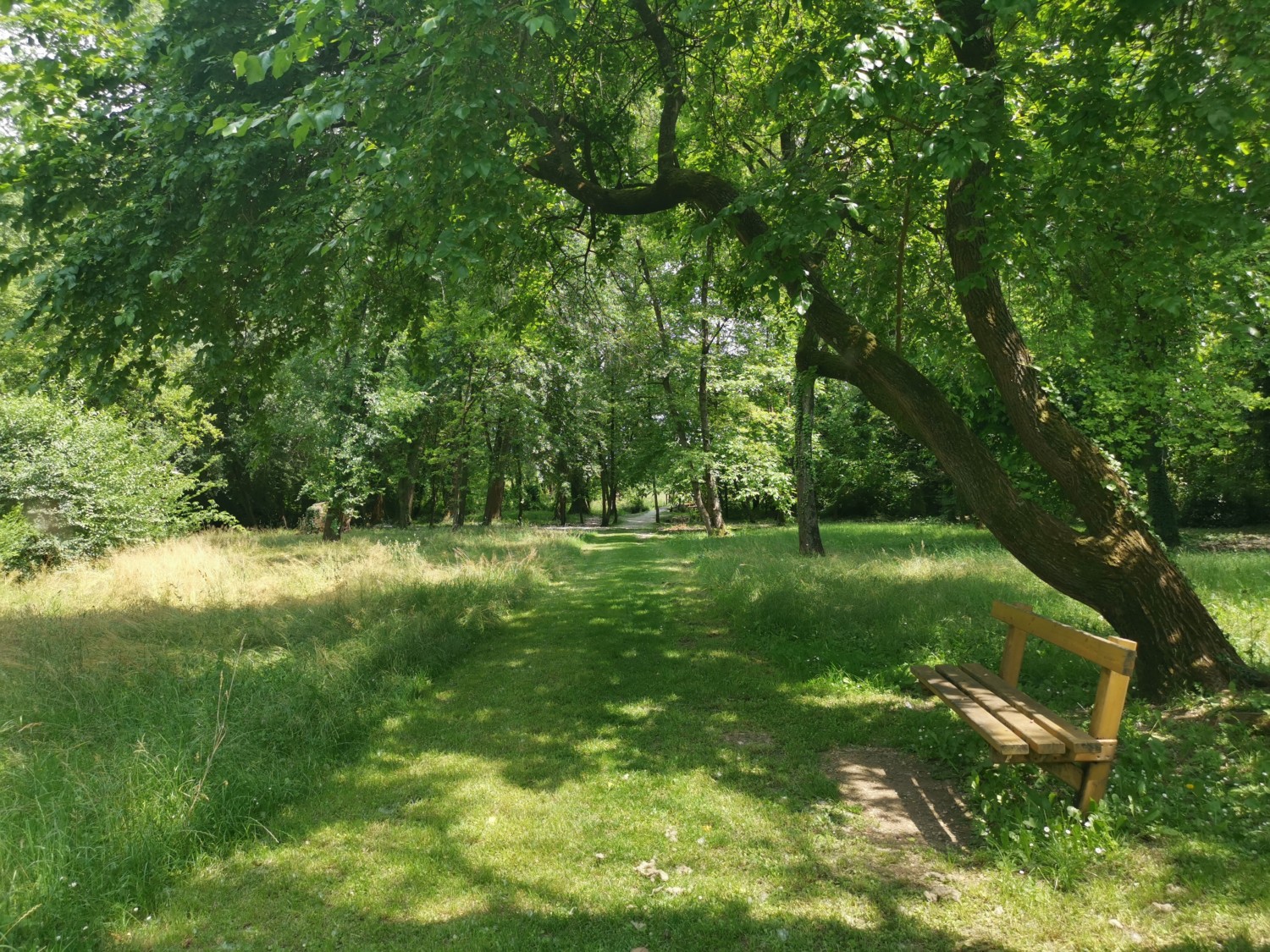 passeggiate-facili-in-friuli passeggiate-facili-in-friuli