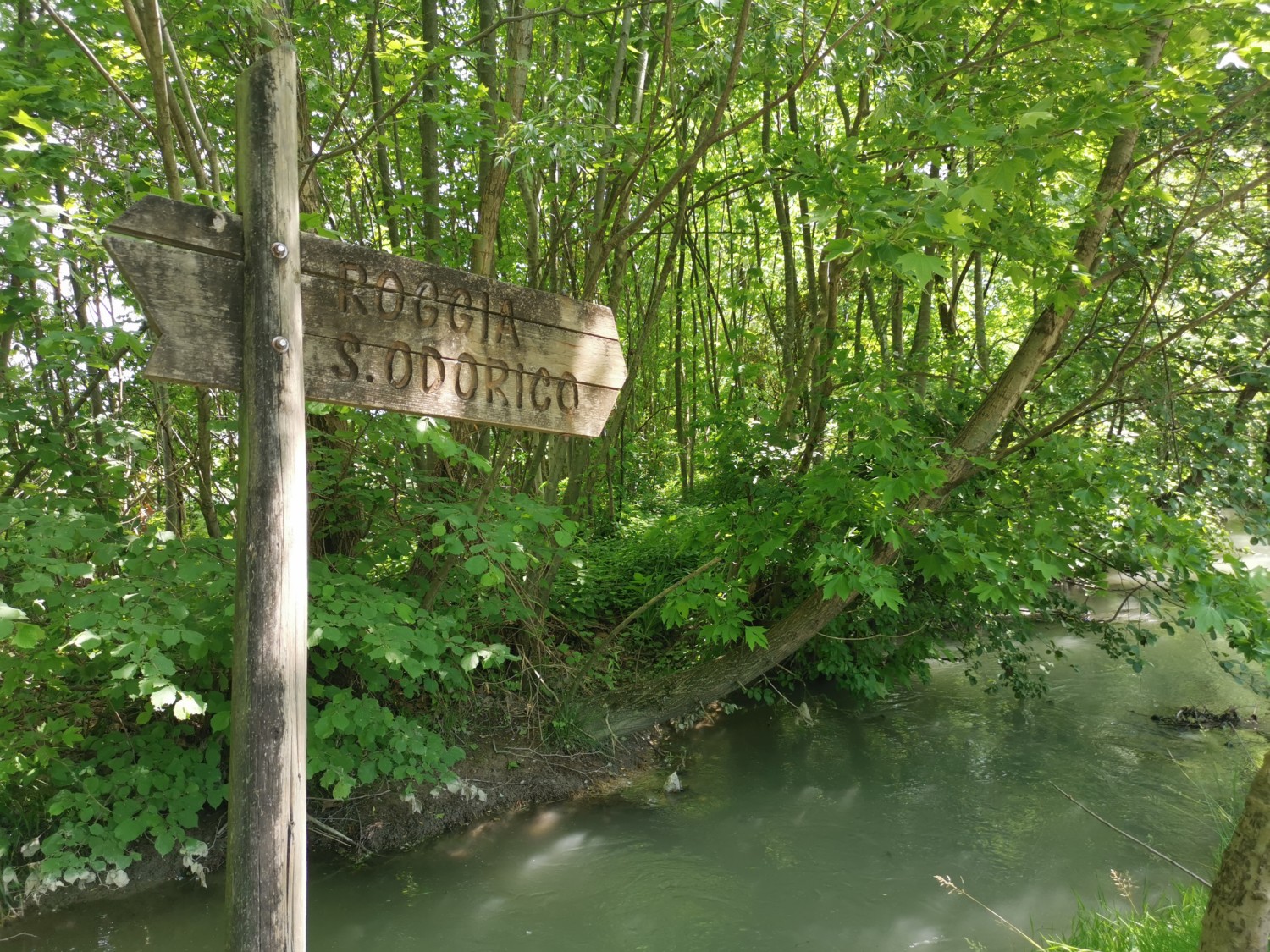 passeggiate-facili-in-friuli passeggiate-facili-in-friuli