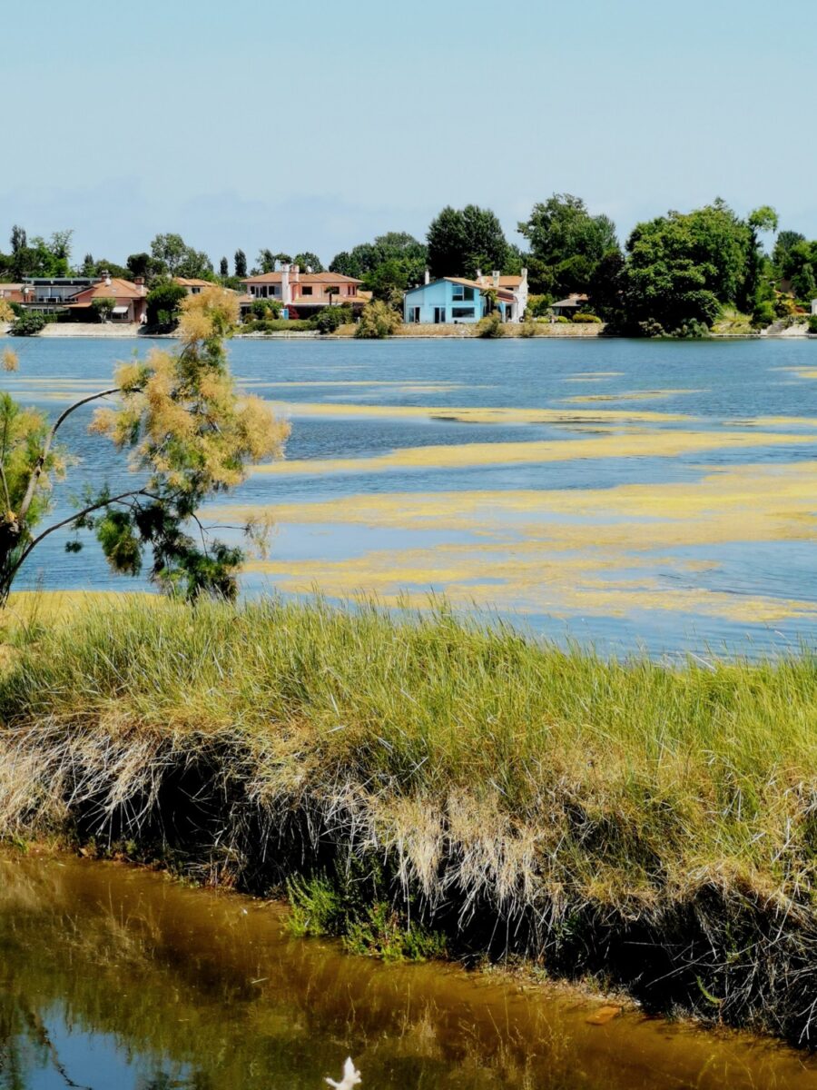 isola di albarealla delta del po isola di albarealla delta del po
