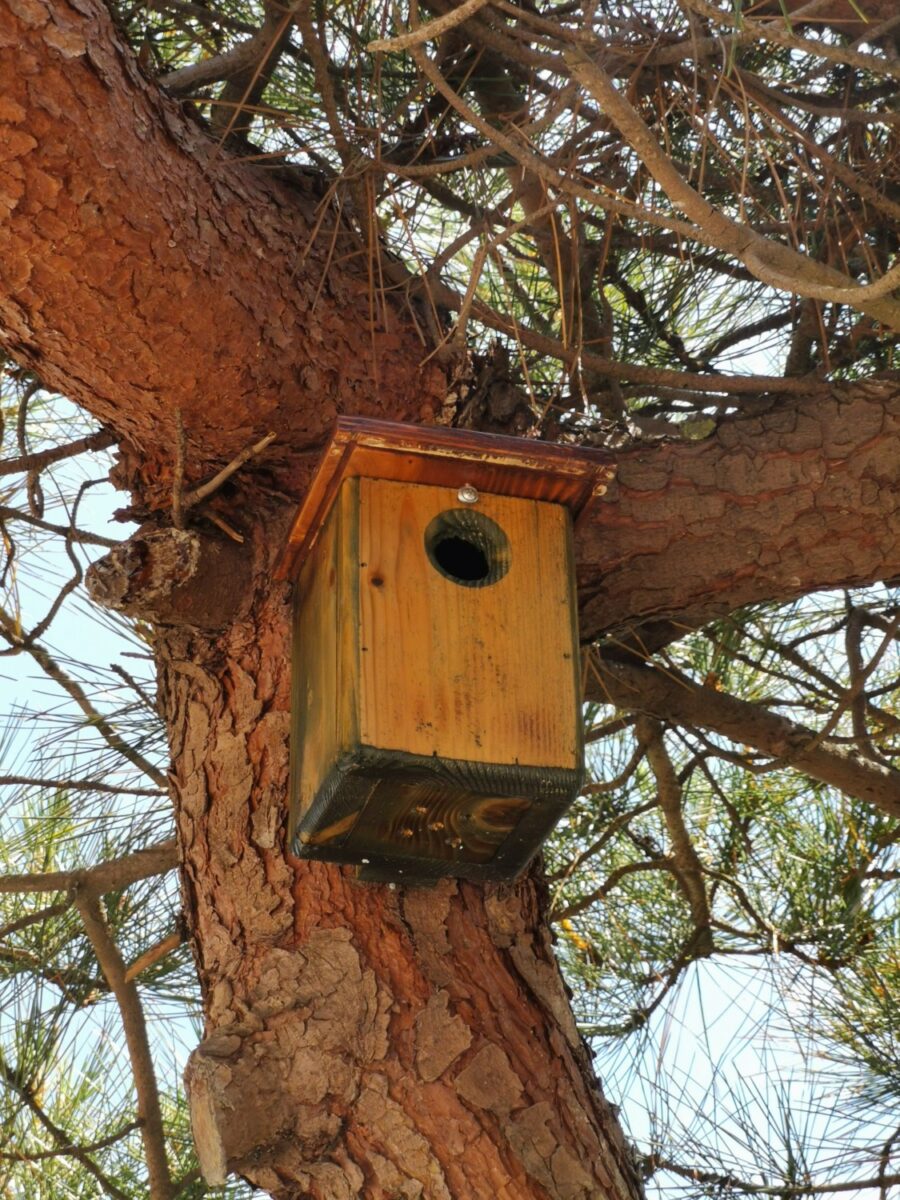 isola di albarealla delta del po isola di albarealla delta del po