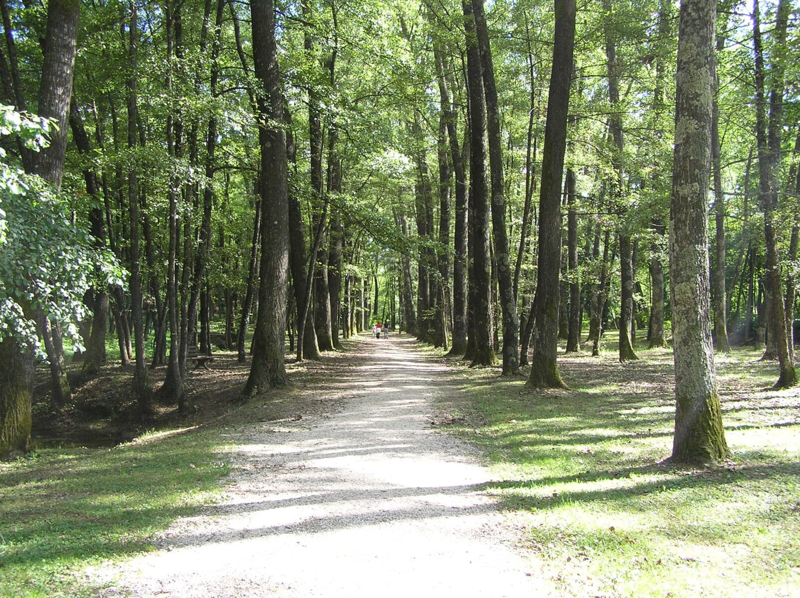 passeggiate-facili-in-friuli passeggiate-facili-in-friuli