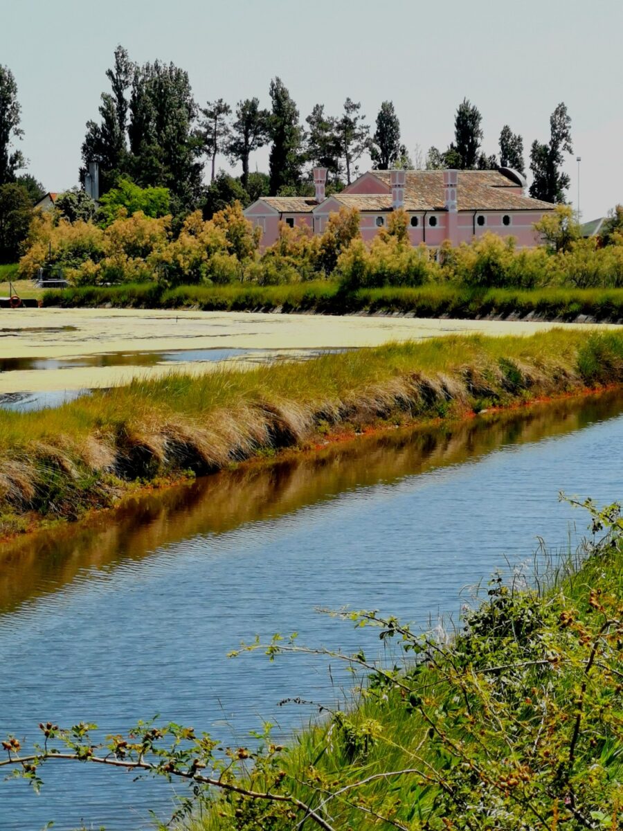 isola di albarealla delta del po isola di albarealla delta del po