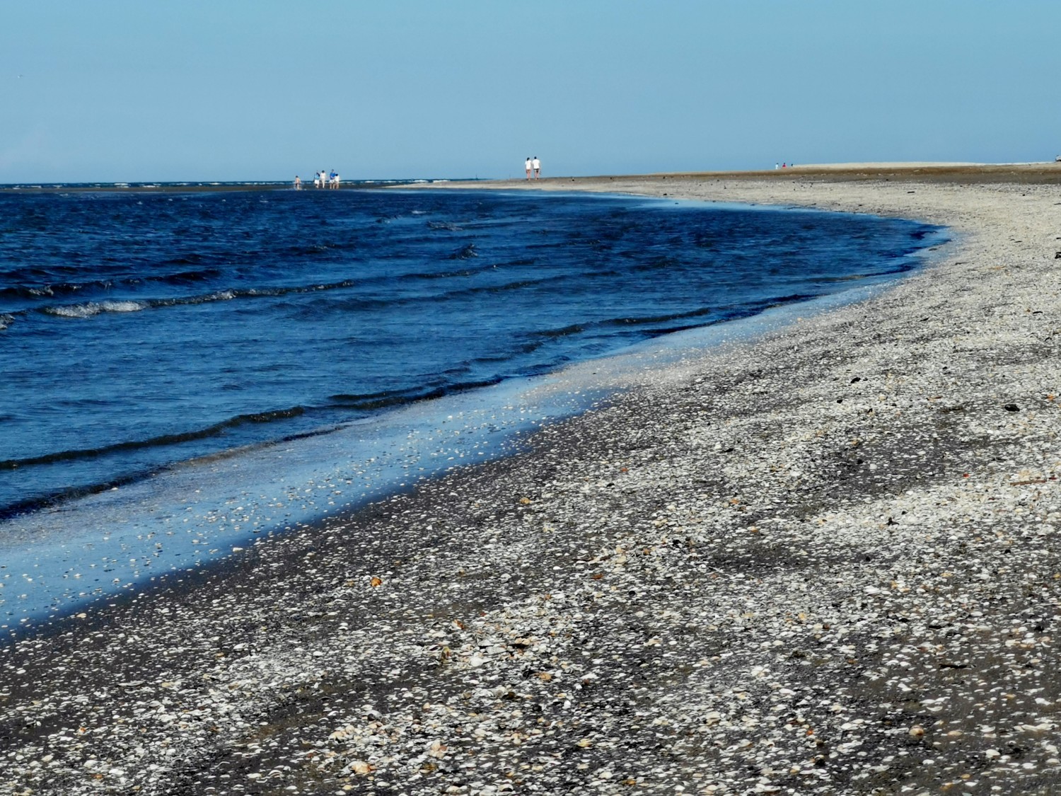 isola di albarealla delta del po isola di albarealla delta del po