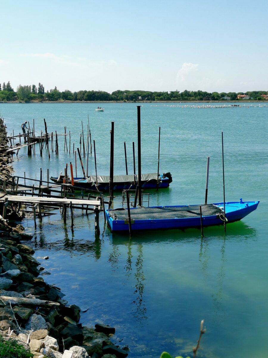 isola di albarealla delta del po isola di albarealla delta del po