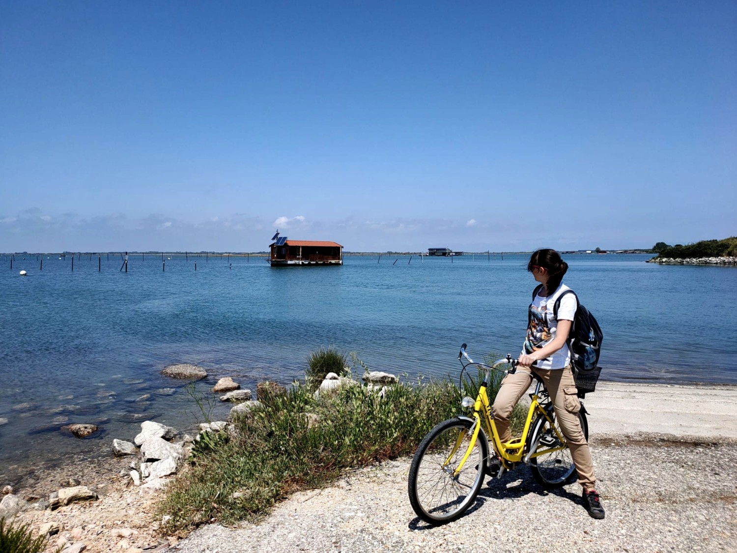 isola di albarella delta del po 1 isola di albarella delta del po