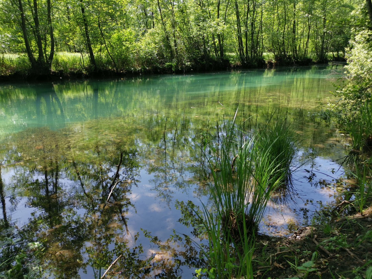 palu-di-livenza palu-di-livenza