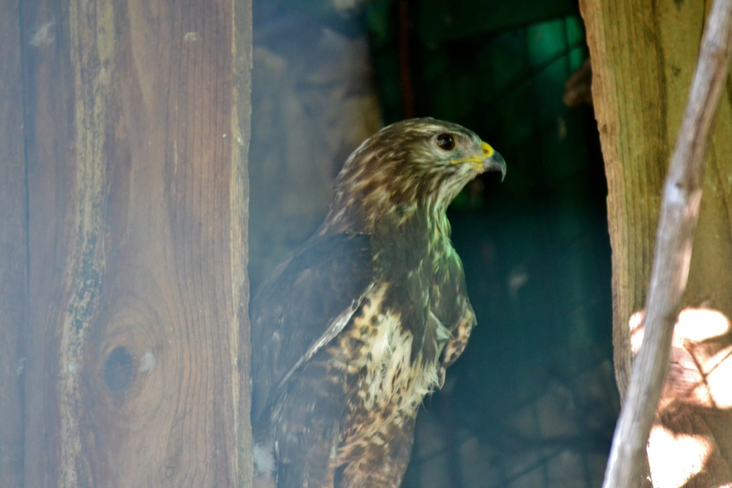 riserva-lago-cornino riserva-lago-cornino
