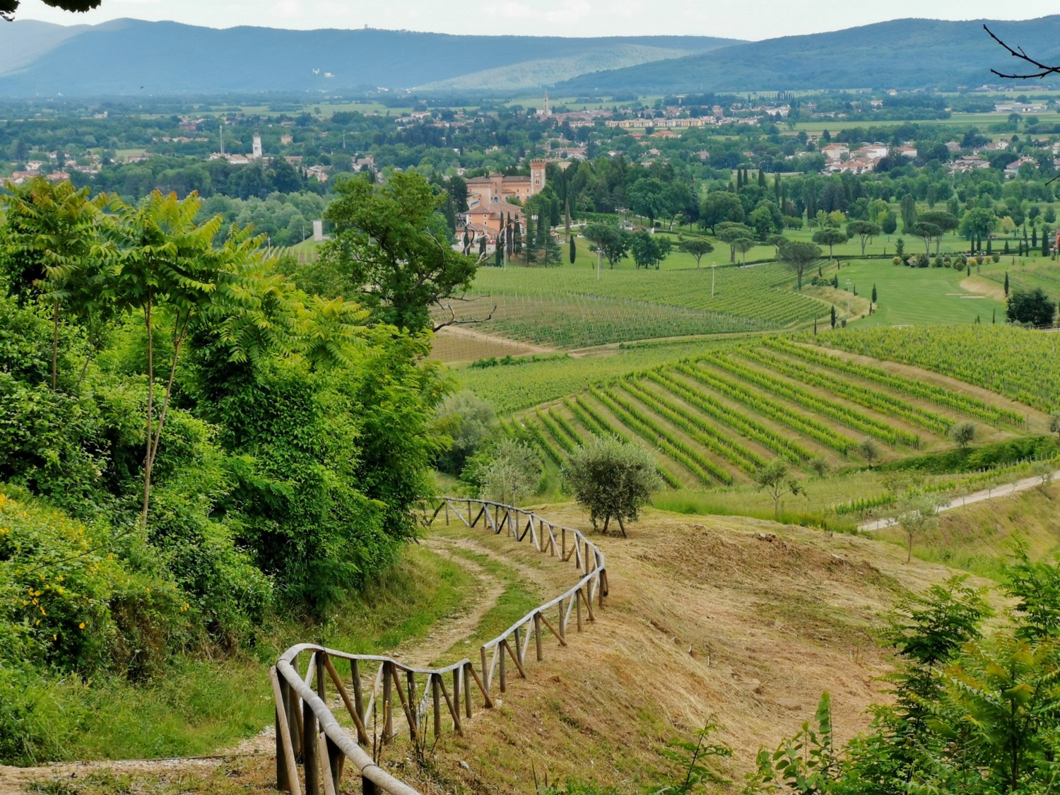 sentiero-vigne-alte sentiero-vigne-alte