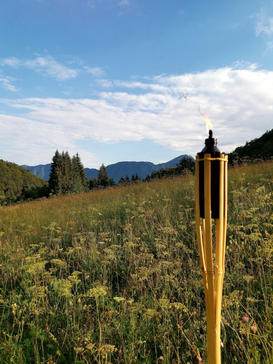 Altopiano di Curiedi Altopiano di Curiedi