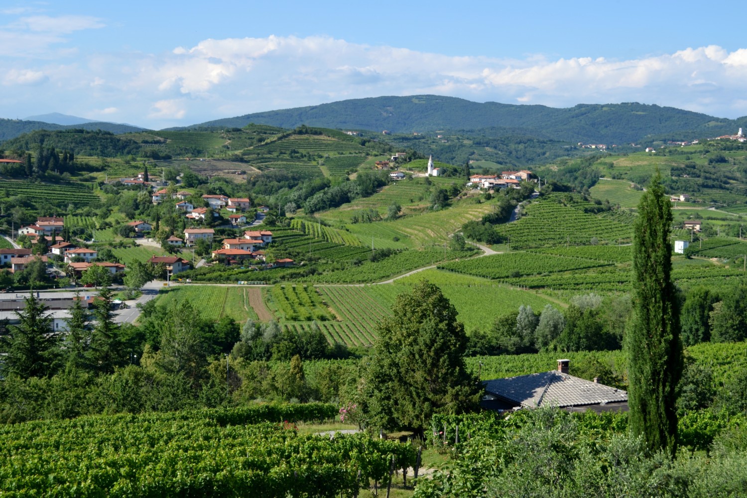 castello di dobrovo castello di dobrovo