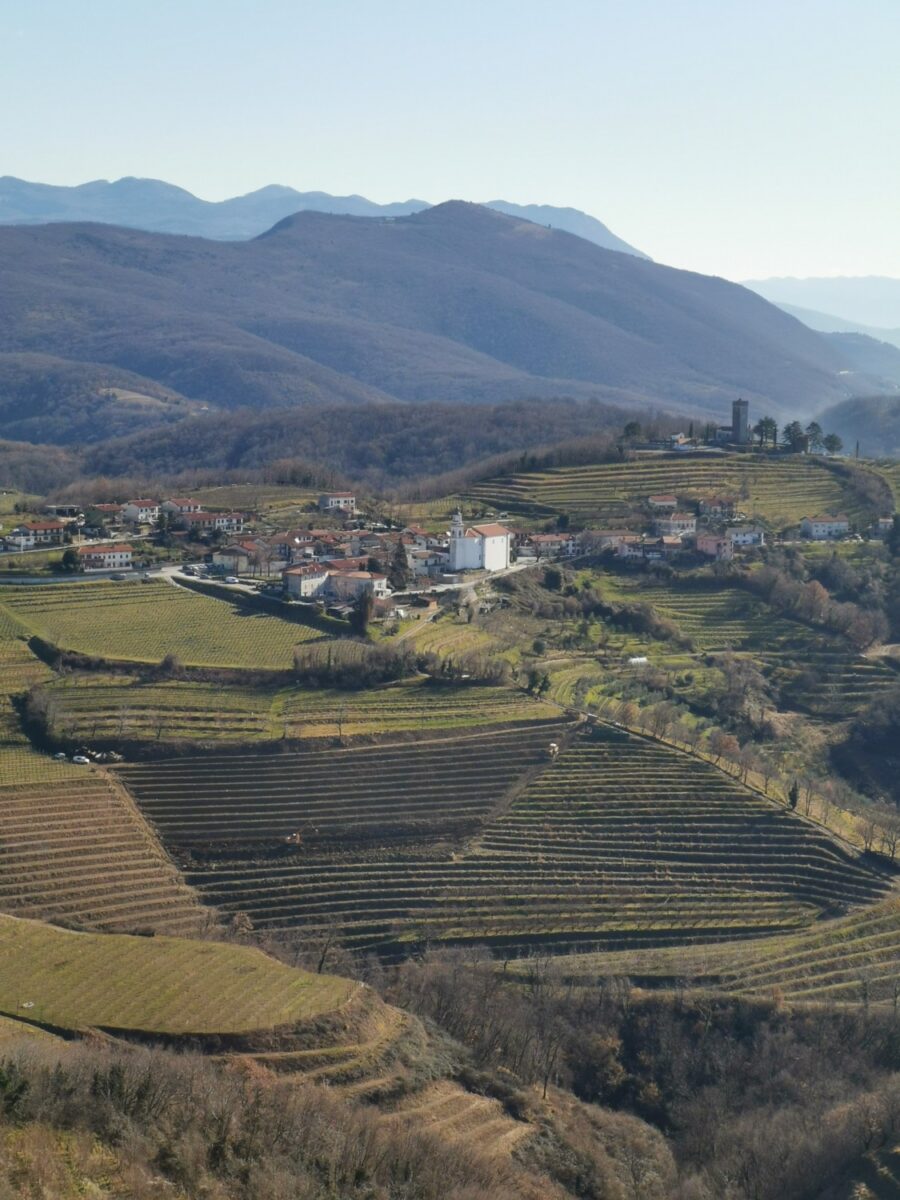 Vista dalla torre di Gonjače Vista dalla torre di Gonjače